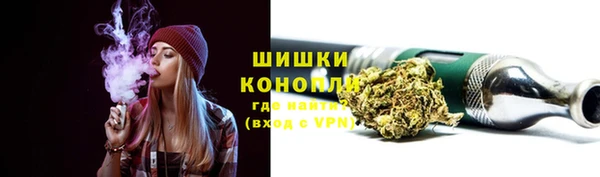 PSILOCYBIN Липки