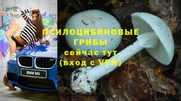 PSILOCYBIN Липки