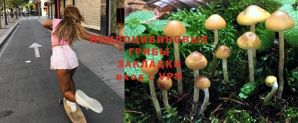 PSILOCYBIN Липки