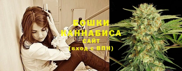 ГАЛЛЮЦИНОГЕННЫЕ ГРИБЫ Лихославль