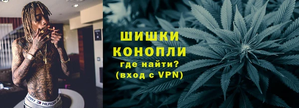 PSILOCYBIN Липки