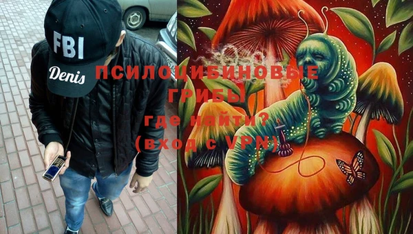 PSILOCYBIN Липки