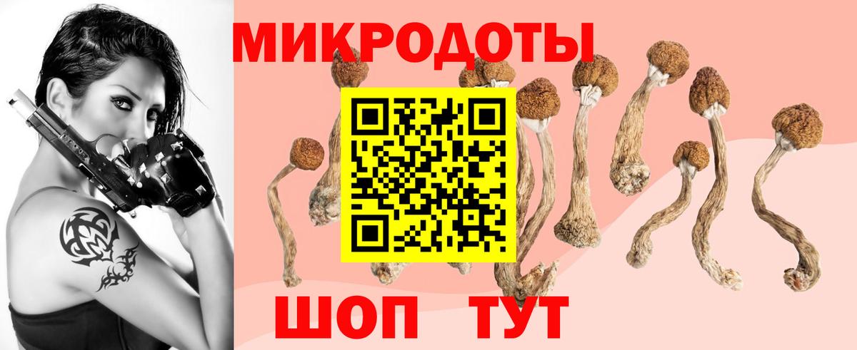 Галлюциногенные грибы Psilocybine cubensis Саранск