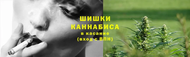 Конопля SATIVA & INDICA  Саранск 