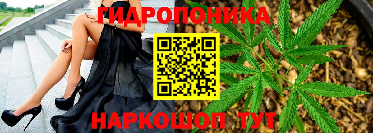Шишки марихуана план  Канабис тримм  Шишки марихуана MAZAR  Саранск  Вход с VPN  Конопля план 